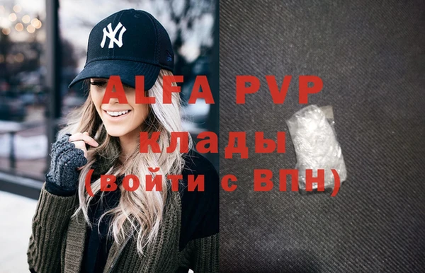 спиды Алзамай