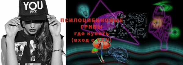 спиды Алзамай