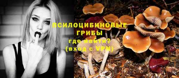 не бодяженный Алексин